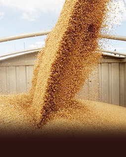 Services drying and storing grain
